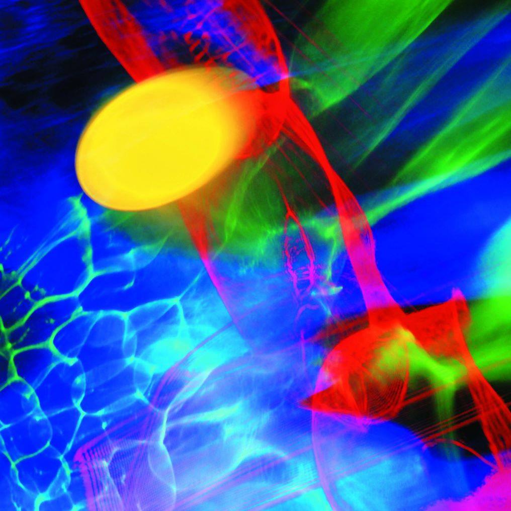 Inthaler-Plöchl GmbH